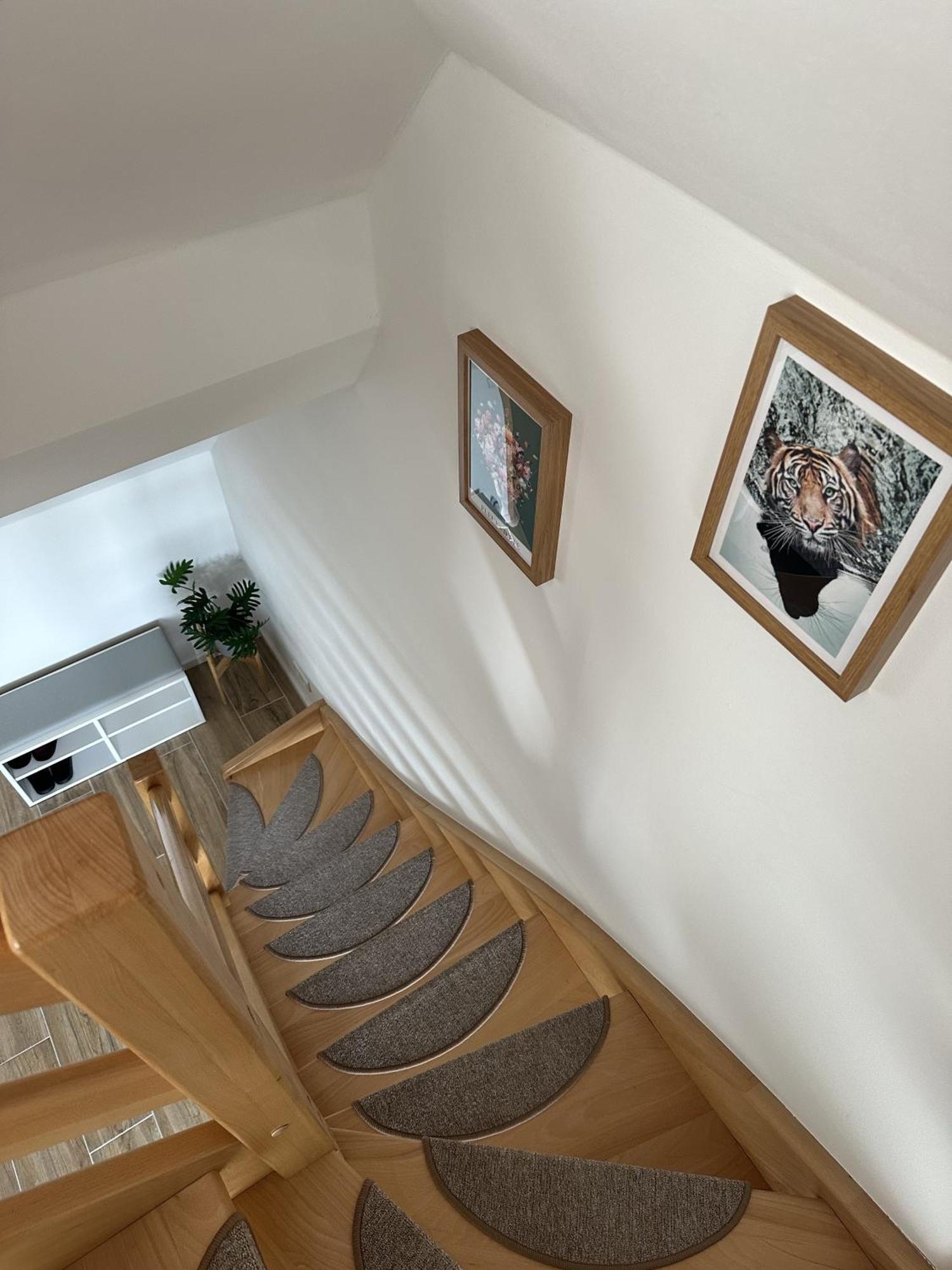 Europa Apartamenty Trzesacz Bagian luar foto